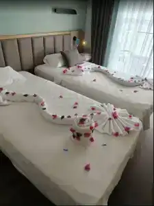 Premier Nergis Beach & SPA - 15