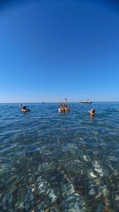 Justiniano Club Park Conti - 79