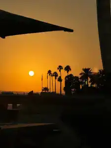 Jumeirah Beach - 83