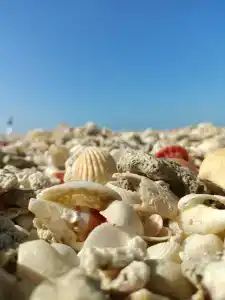 Ramada & Suites by Wyndham Ajman - 71