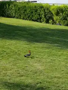 Hilton Garden Inn Ras Al Khaimah - 75