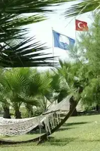 Washington Resort & Spa - 15