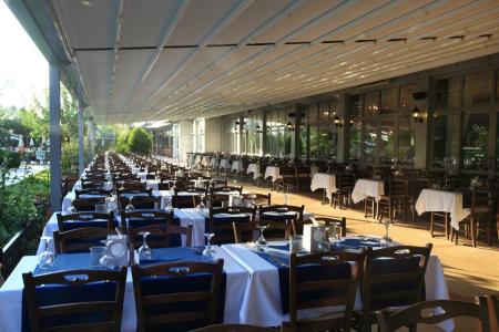 Club Cactus Paradise - 25