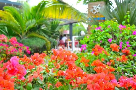 Mystik Life Style by NEWMARK - 5