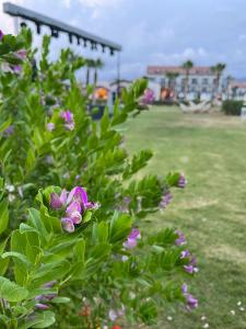 Akra Fethiye The Residence Tui Blue Sensatori - Ultra All Inclusive - Adults Only - 29