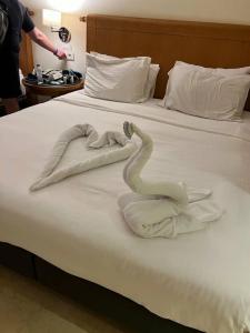 Park Regency Sharm El Sheikh Resort - 22