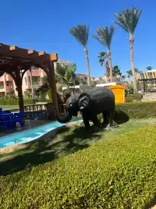 Rehana Sharm Resort - Aquapark & Spa - Couples and Family Only - 24