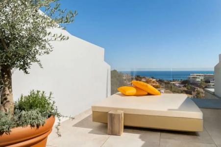 Higuerón Curio Collection by Hilton - 71