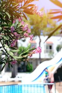 Delfi Spa & Wellness Center - 7