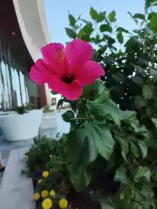 Hampton By Hilton Marjan Island - 82