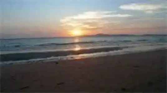 Birds and Bees Resort - 3