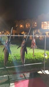 Charmillion Club Resort - 71