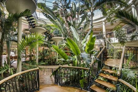 Sheraton Fuerteventura Golf & Spa Resort - 64