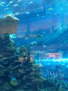 Occidental Sharjah Grand - 9