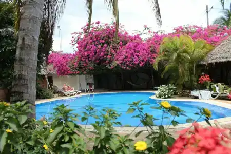 Langi Langi Beach Bungalows - 6