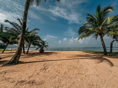 Ramada Resort by Wyndham Khao Lak - SHA Plus Extra - 88