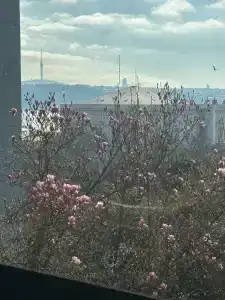 Swissotel the Bosphorus Istanbul - 99