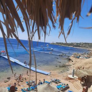 DoubleTree by Hilton Sharks Bay Resort - 50