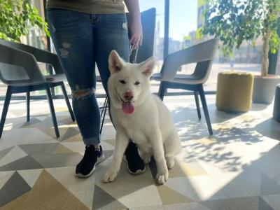 Ibis Kaunas Centre - 26