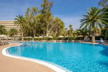 Sol Palmanova Mallorca - 73