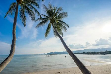 Chaba Cabana Beach Resort - 16