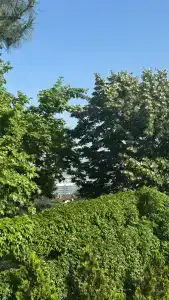 Gonluferah Thermal - 23