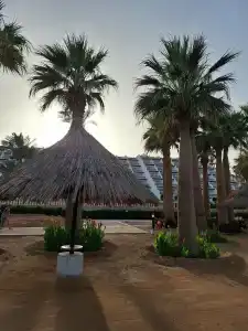 Sheraton Sharm, Resort, Villas & Spa - 31