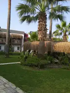 Bitez Garden Life - 65