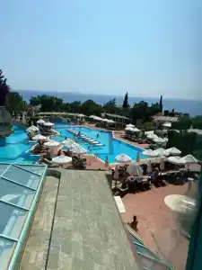 Liberty Lykia Adults Only - 77