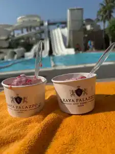 Kaya Palazzo Golf Resort - 54