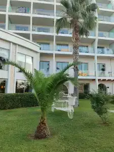 Green Nature Diamond - 41