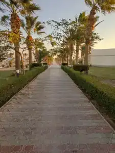 Hurghada Coral Beach - 61