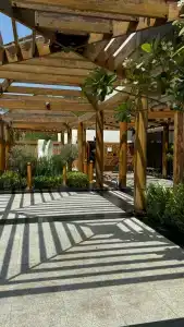 Dubai Marine Beach Resort & Spa - 81