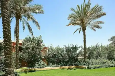 The Westin Cairo Golf Resort & Spa, Katameya Dunes - 4