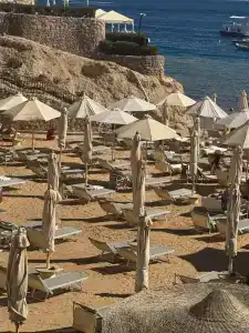 Royal Savoy Sharm El Sheikh - 61