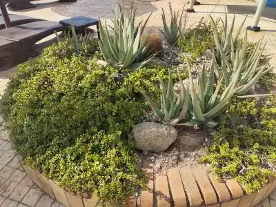 Sharming Inns - Couples and Families Only - 64