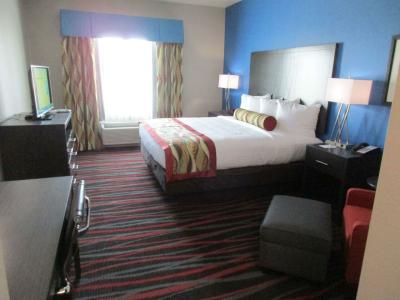 Best Western Plus Tech Medical Center Inn - 60