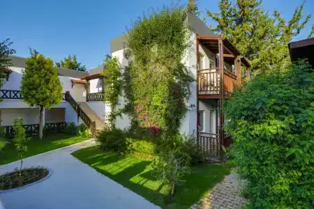 Bitez Garden Life - 4