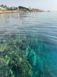 Sunrise Diamond Beach Resort -Grand Select - 12