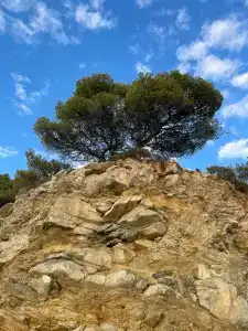 Pine Bay Holiday Resort - 83