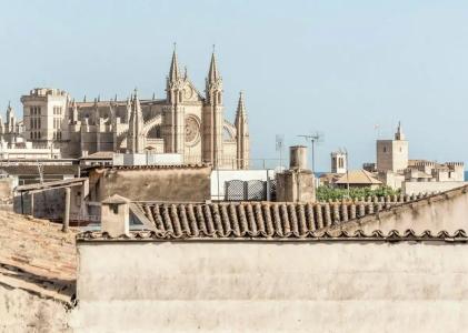 Concepcio by Nobis, Palma, a Member of Designs - 30