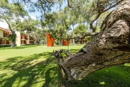 ROBINSON CAMYUVA - Adults only - 88