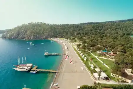 ROBINSON CAMYUVA - Adults only - 2