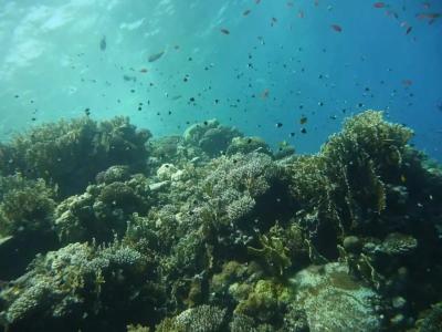 Novotel Marsa Alam Beach Resort - 49