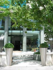 Ali d'Oro - 29
