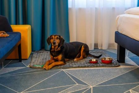 ibis Styles Bad Reichenhall - 39