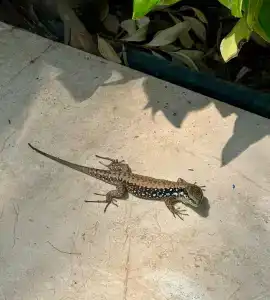 Crystal Family Resort & Spa - Ultimate All Inclusive - 50