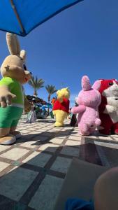 Gravity & Aqua Park Hurghada Families and Couples Only - 48