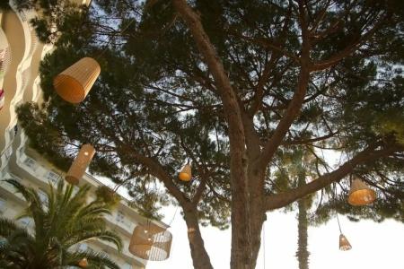 ALEGRIA Fenals Mar - 8