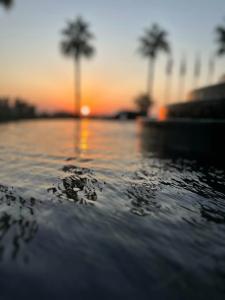 JA Lake View, Dubai - 99